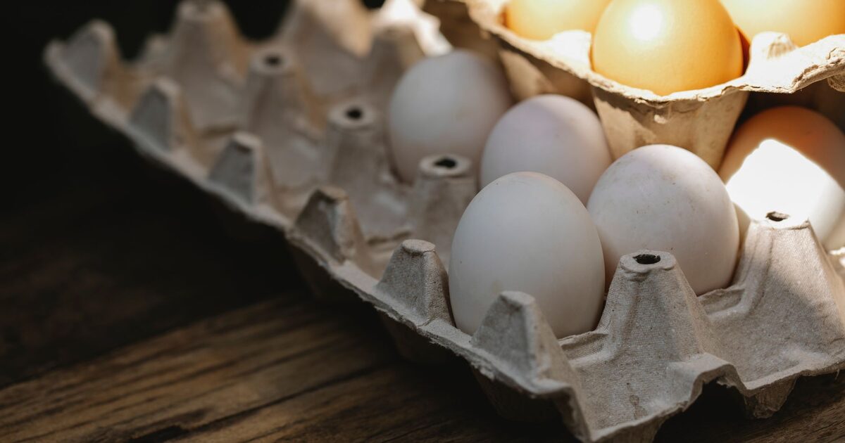 How Much Protein Do You Really Need?